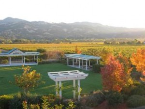 The Dry Creek Valley of Sonoma in 2013 had more rain than most areas, but dry, steady winds dried the grapes, many of which are Cabernet Sauvignon.  