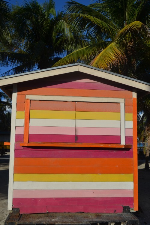 When I saw this, the first thought that came to mind: Psychedelic Shack 