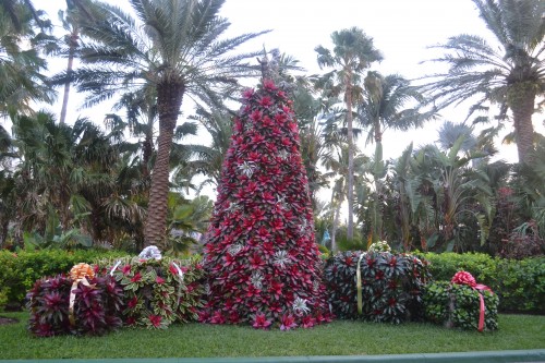 Landscape Gardeners at The Atlantis, showed of their amazing gardening skills during the holidays.