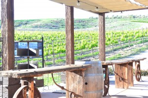 The beautiful scenery of Europa Winery is truly breath-taking! Photo Credit: Charles DeJesus