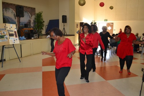 FDSRC Seasoned Line Dancers perform during intermission.